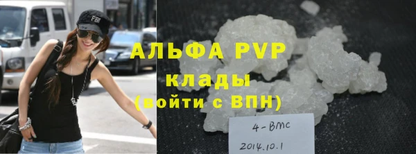 крисы Алексин