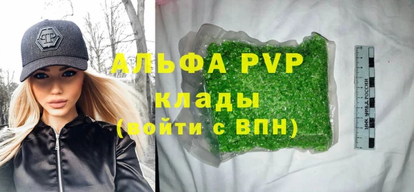 крисы Алексин