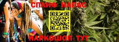 стаф Кунгур