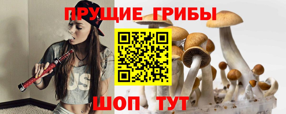 Псилоцибиновые грибы Psilocybine cubensis Джанкой